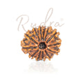 13 Mukhi Rudraksha